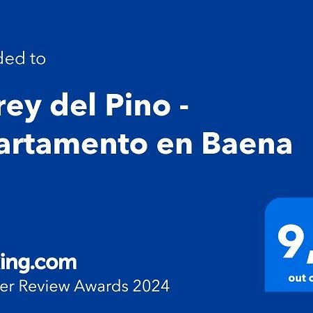 Virrey Del Pino - Apartamento En Baena Kültér fotó